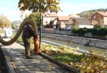 Jesenje sređivanje grada jesenje-sredjivanje-grada