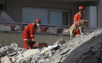 Broj žrtava zemljotresa u Turskoj povećan na 51 broj-zrtava-zemljotresa-u-turskoj-povecan-na-51