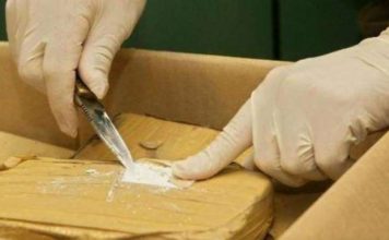 U Belgiji zaplenjeno 11,5 tona kokaina u-belgiji-zaplenjeno-11,5-tona-kokaina