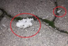 Na carini iskočila kroz prozor u donjem vešu zbog spida na-carini-iskocila-kroz-prozor-u-donjem-vesu-zbog-spida