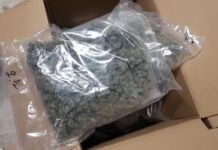 Hrvatska policija zaplenila 17 kg marihuane, privedeni Albanci hrvatska-policija-zaplenila-17-kg-marihuane,-privedeni-albanci