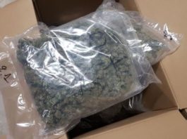 hrvatska-policija-zaplenila-17-kg-marihuane,-privedeni-albanci