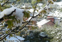 Meteorolozi za danas najavili sneg, stiže zima meteorolozi-za-danas-najavili-sneg,-stize-zima