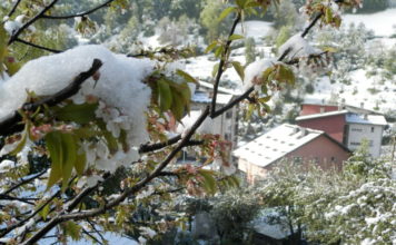Meteorolozi za danas najavili sneg, stiže zima meteorolozi-za-danas-najavili-sneg,-stize-zima