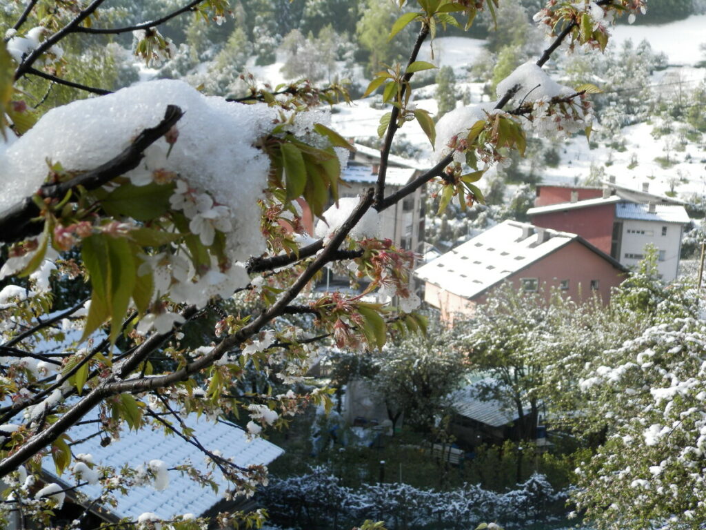 meteorolozi-za-danas-najavili-sneg,-stize-zima