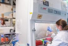 Stručnjaci: Poplava dezinformacija mogla bi da ugrozi vakcinu protiv korona virusa strucnjaci:-poplava-dezinformacija-mogla-bi-da-ugrozi-vakcinu-protiv-korona-virusa