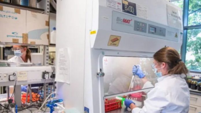 strucnjaci:-poplava-dezinformacija-mogla-bi-da-ugrozi-vakcinu-protiv-korona-virusa