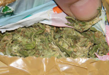 Mladić iz Ade uhapšen zbog dva kilograma marihuane mladic-iz-ade-uhapsen-zbog-dva-kilograma-marihuane