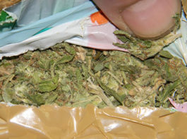 mladic-iz-ade-uhapsen-zbog-dva-kilograma-marihuane
