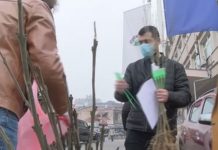 U okviru akcije „Posadi svoj hlad“ podeljene sadnice jasena u-okviru-akcije-„posadi-svoj-hlad“-podeljene-sadnice-jasena