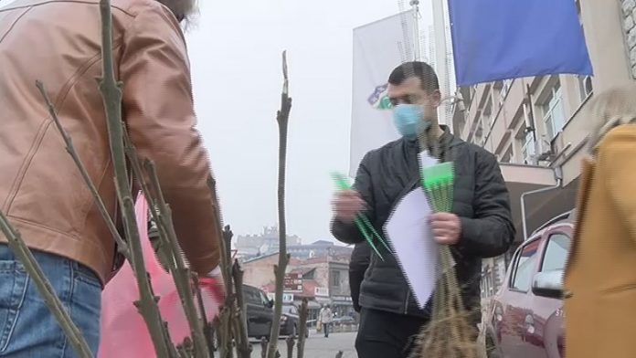 u-okviru-akcije-„posadi-svoj-hlad“-podeljene-sadnice-jasena