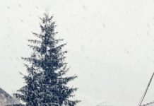 Pada sneg u Novom Pazaru pada-sneg-u-novom-pazaru