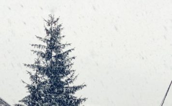 Pada sneg u Novom Pazaru pada-sneg-u-novom-pazaru