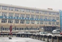 Dijaspori u znak zahvalnosti dijaspori-u-znak-zahvalnosti