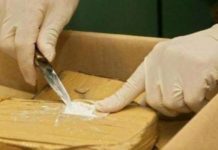 Grčka policija presrela kamion sa 14 kilograma kokaina grcka-policija-presrela-kamion-sa-14-kilograma-kokaina