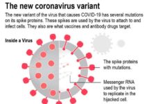 Martin: Novi soj se širi brže od najpesimističnijih najava martin:-novi-soj-se-siri-brze-od-najpesimisticnijih-najava