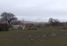 Poljoprivredni usevi u dobrom stanju-Sneg bi dobrodošao poljoprivredni-usevi-u-dobrom-stanju-sneg-bi-dobrodosao