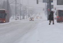 ZEMLjOTRES U BEOGRADU zemljotres-u-beogradu