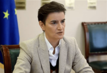 Brnabić: Do kraja januara imaćemo dva miliona vakcina brnabic:-do-kraja-januara-imacemo-dva-miliona-vakcina
