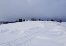 TRI osobe ubijene u Rasnu tri-osobe-ubijene-u-rasnu