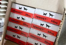 Vozač kamiona krijumčario lekove za životinje vozac-kamiona-krijumcario-lekove-za-zivotinje