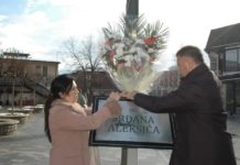 Cveće na Trgu Srđana Aleksića u Novom Pazaru cvece-na-trgu-srdjana-aleksica-u-novom-pazaru