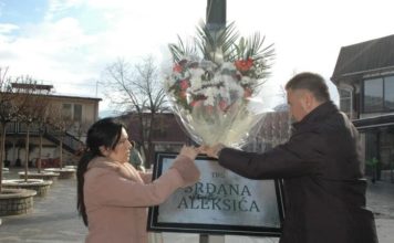 Cveće na Trgu Srđana Aleksića u Novom Pazaru cvece-na-trgu-srdjana-aleksica-u-novom-pazaru