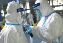 Naučnici: Korona preti da uništi čovečanstvo naucnici:-korona-preti-da-unisti-covecanstvo