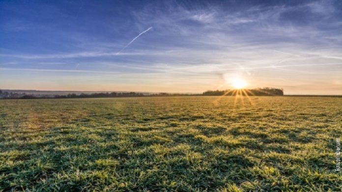 ludo-vreme,-danas-i-do-20-stepeni