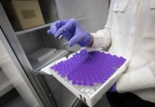 Odobrena prva faza proizvodnje ruske vakcine u Torlaku odobrena-prva-faza-proizvodnje-ruske-vakcine-u-torlaku