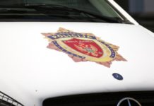 Uhapšeni jer su ubili mečku u Beranama uhapseni-jer-su-ubili-mecku-u-beranama