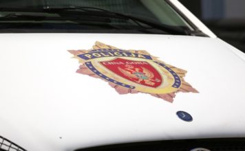 Uhapšeni jer su ubili mečku u Beranama uhapseni-jer-su-ubili-mecku-u-beranama