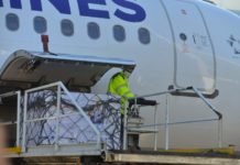 U Srbiju stiglo 150.000 doza vakcine AstraZeneka u-srbiju-stiglo-150.000-doza-vakcine-astrazeneka