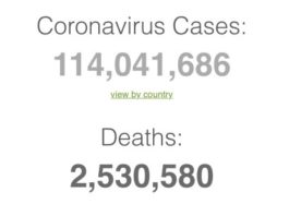 broj-zarazenih-korona-virusom-u-svetu-preasio-114-miliona