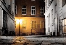 Opasnost “after korona žurke” organizovanog kriminala opasnost-“after-korona-zurke”-organizovanog-kriminala