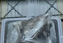 HAPŠENJE U NOVOM PAZARU! Zaplenjen heroin hapsenje-u-novom-pazaru!-zaplenjen-heroin