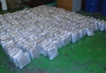 U Severnoj Makedoniji zaplenjeno preko 500 kilograma marihuane u-severnoj-makedoniji-zaplenjeno-preko-500-kilograma-marihuane