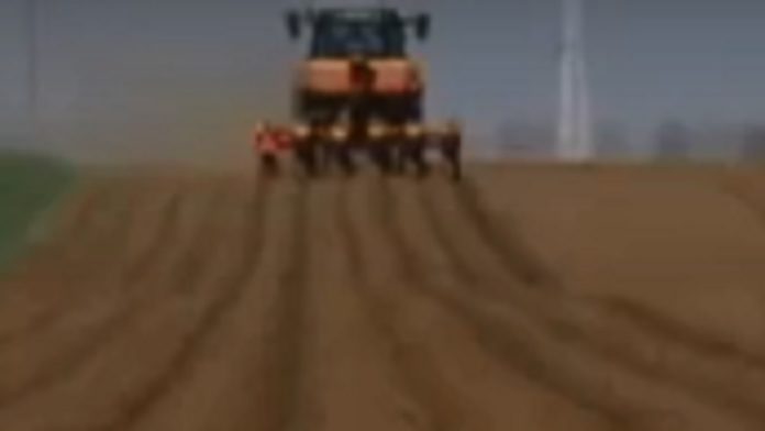 ratari-trljaju-ruke-–-cena-zitarica-i-uljarica-konstantno-skace,-rekordan-izvoz-kukuruza