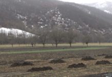 Vremenski uslovi ne utiču loše na useve vremenski-uslovi-ne-uticu-lose-na-useve