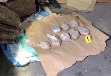 Beograd: U garaži krio 3,9 kilograma heroina (FOTO) beograd:-u-garazi-krio-3,9-kilograma-heroina-(foto)