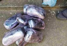 U Subotici zaplenjeno 20 kg narkotika, uhapšena dvojica (FOTO) u-subotici-zaplenjeno-20-kg-narkotika,-uhapsena-dvojica-(foto)