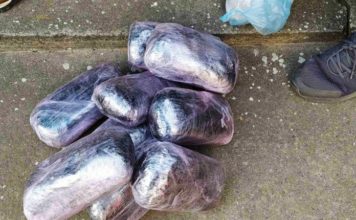 U Subotici zaplenjeno 20 kg narkotika, uhapšena dvojica (FOTO) u-subotici-zaplenjeno-20-kg-narkotika,-uhapsena-dvojica-(foto)