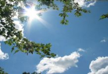 Sutra stiže proleće sutra-stize-prolece