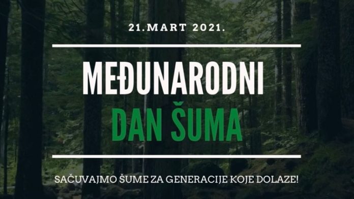 medjunarodni-dan-suma:-ministarstvo-zastite-zivotne-sredine-finansira-projekte-posumljavanja-u-38-opstina