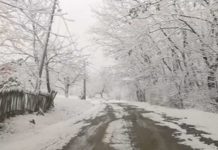 Sneg izazvao kolaps u opštini Nova Varoš sneg-izazvao-kolaps-u-opstini-nova-varos