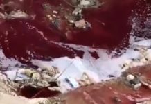 Ekološka katastrofa u Novom Pazaru ekoloska-katastrofa-u-novom-pazaru