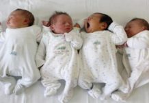 Uveden obavezan skrining na tešku i retku bolest sa kojom se rodi jedna od 2.500 beba uveden-obavezan-skrining-na-tesku-i-retku-bolest-sa-kojom-se-rodi-jedna-od-2.500-beba