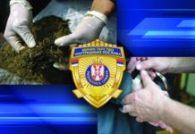 Policija u Leskovcu pronašla oko 2,5 kg droge, oružje i 24.500 evra policija-u-leskovcu-pronasla-oko-2,5-kg-droge,-oruzje-i-24.500-evra