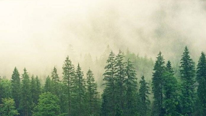 danas-je-dan-zastite-prirode,-pod-zastitom-7,66-odsto-srbije