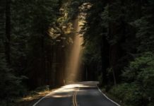 Stanje na putevima: Dobri uslovi za vožnju stanje-na-putevima:-dobri-uslovi-za-voznju